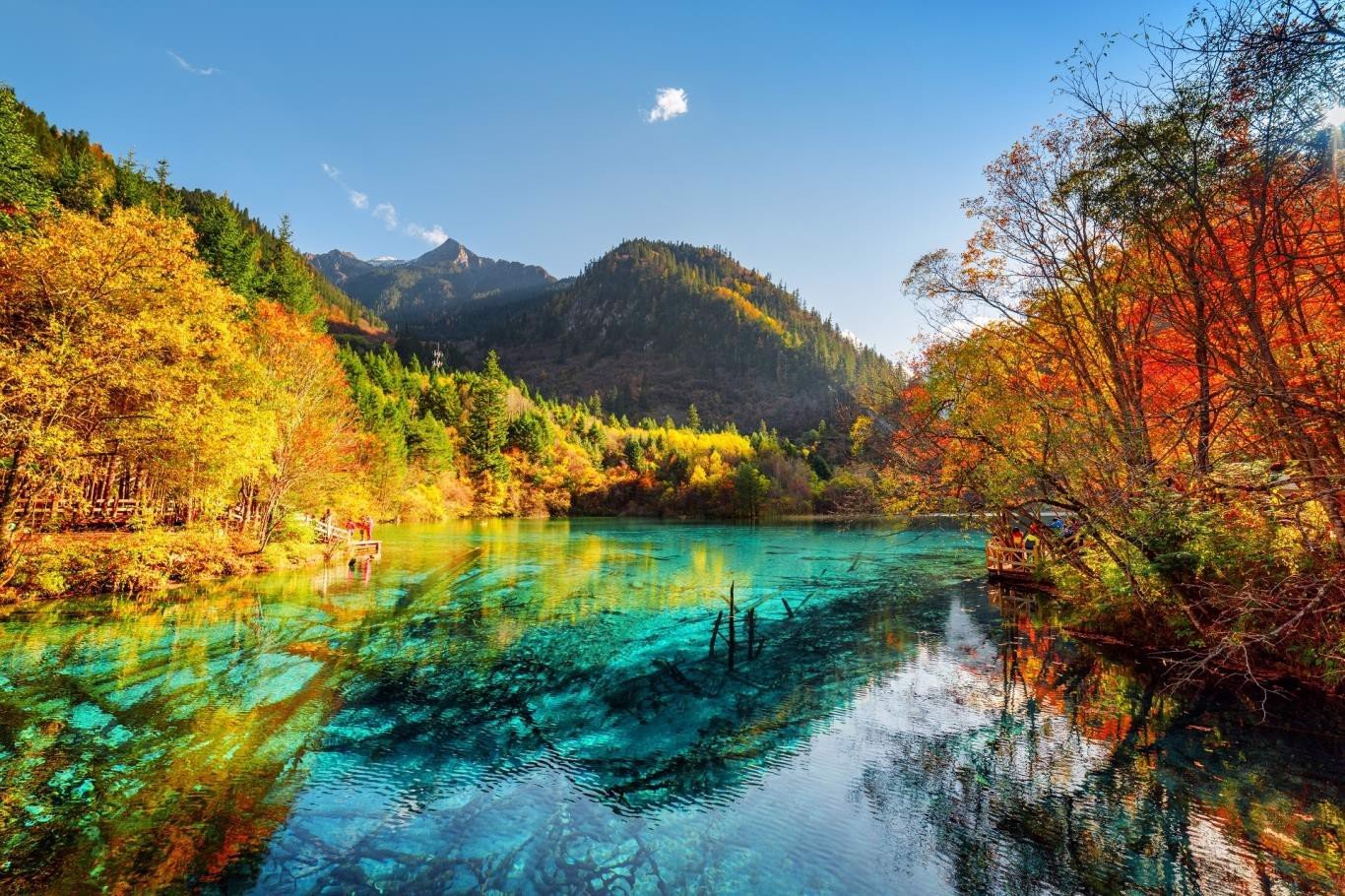 Tour Thành Đô - Cửu Trại Câu - Khám phá công viên Gấu trúc